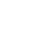 植物幹細胞CMCP