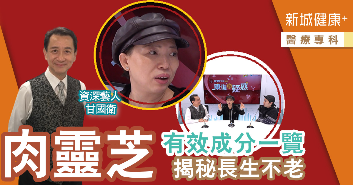 傳媒追訪